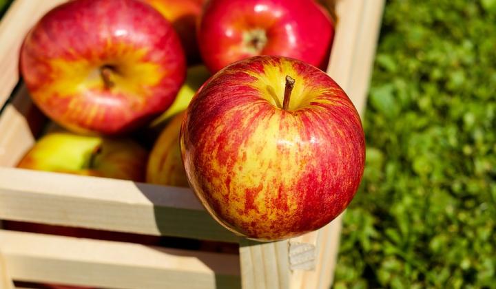 Jak správně uskladnit jablka | rady