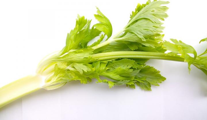 Jak zdravý je řapíkatý celer