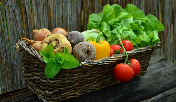 Jak funguje předplatné zeleniny neboli komunitou podporované zemědělství (KPZ)