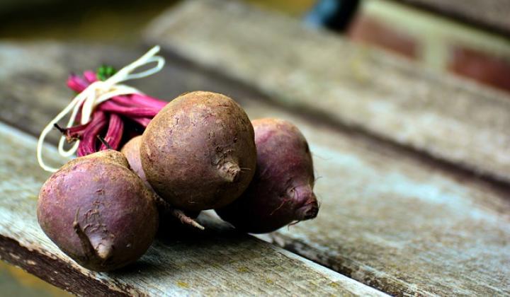 Jak pěstovat řepu Jak pěstovat řepu