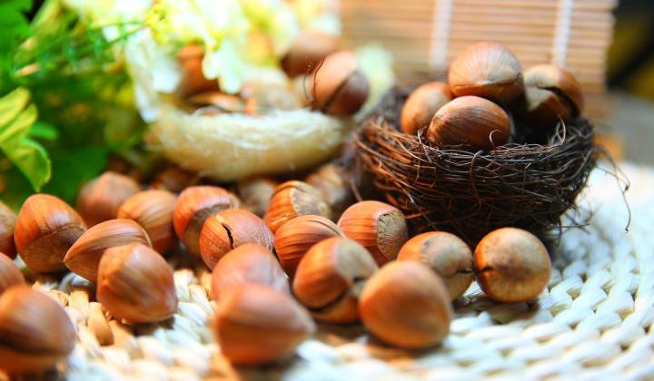 Jak připravit domácí lískooříškovou pastu | recept Jak připravit domácí lískooříškovou pastu | recept