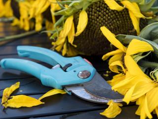Jak vybrat zahradní nůžky | rady