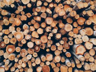 Jak skladovat palivové dřevo | rady