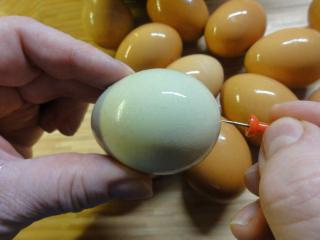 vejce od slepic plemene Araukana