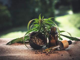 Jak vybrat CBD olej? Volte fullspectrum Jak vybrat CBD olej? Volte fullspectrum