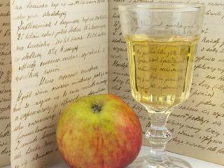 Jak vyrobit jablečné víno | recept