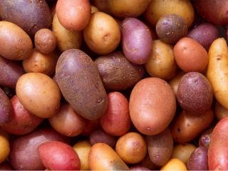 Jak udělat bramborový guláš se smetanou | recept